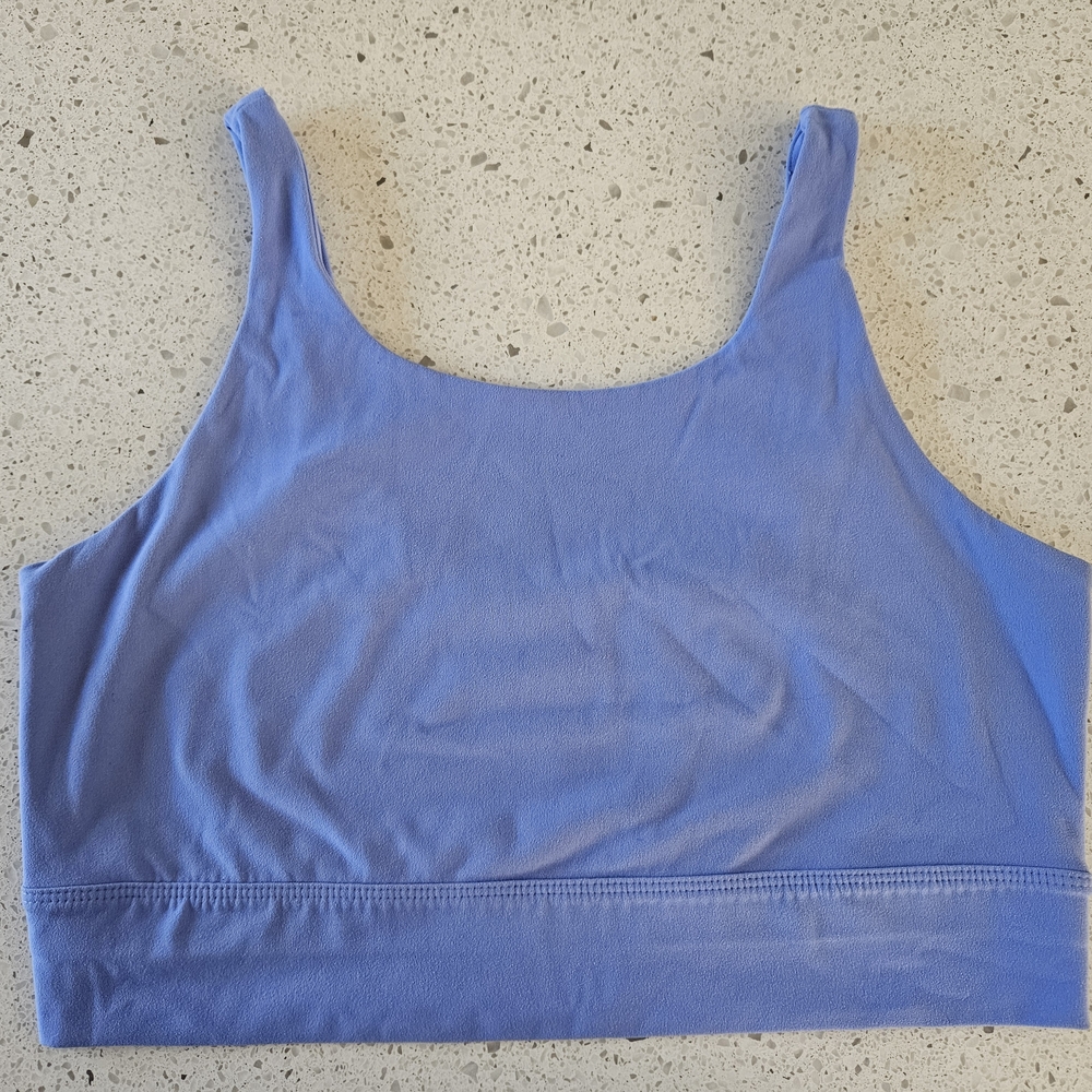 Nike Dri Fit Blue Women's Sports Bra